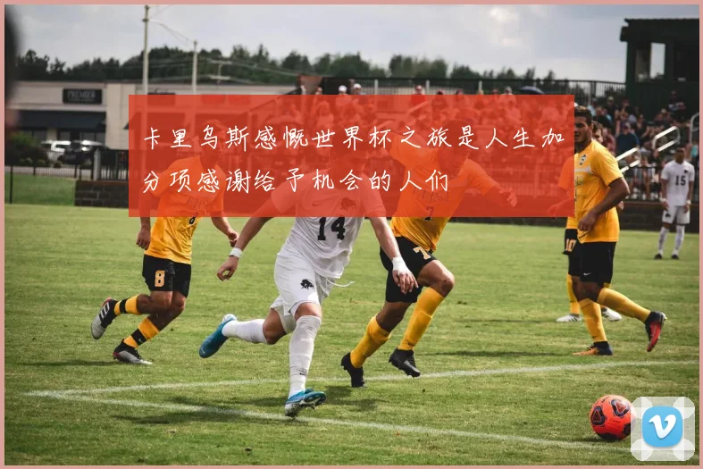 卡里乌斯感慨世界杯之旅是人生加分项感谢给予机会的人们