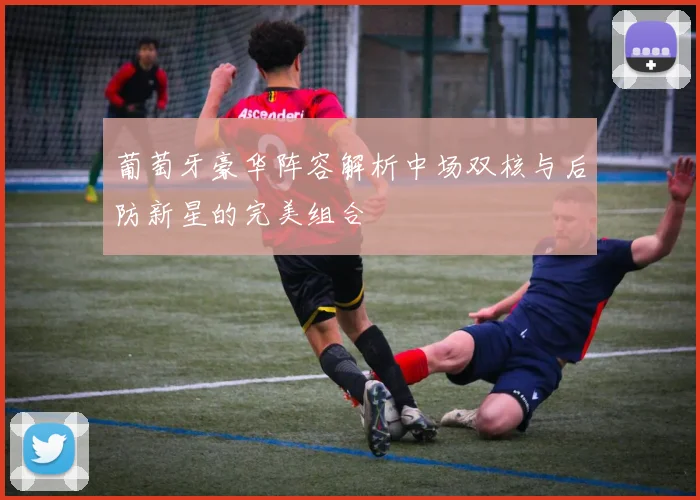 葡萄牙豪华阵容解析中场双核与后防新星的完美组合