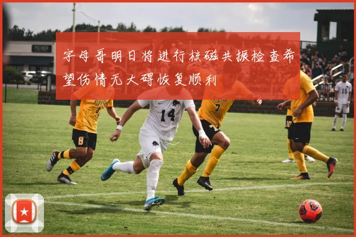 字母哥明日将进行核磁共振检查希望伤情无大碍恢复顺利