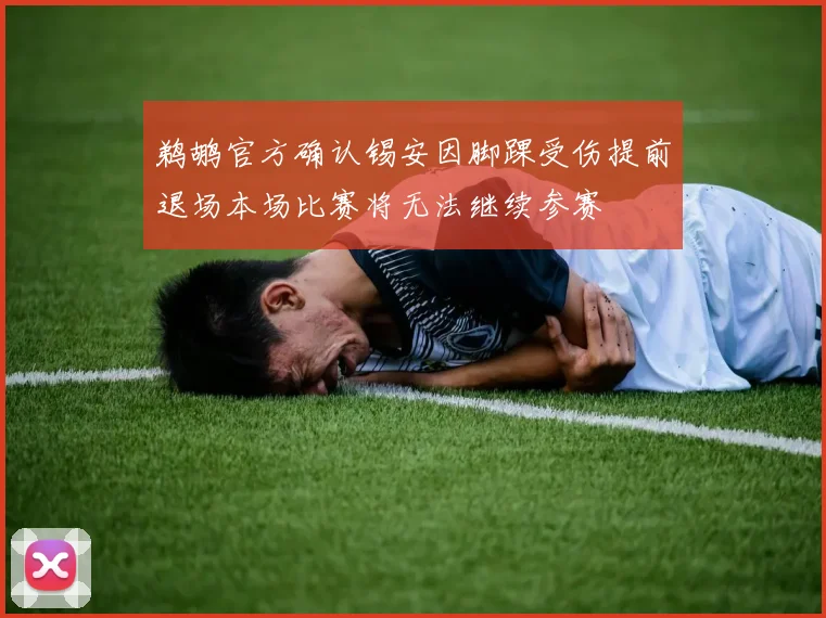 鹈鹕官方确认锡安因脚踝受伤提前退场本场比赛将无法继续参赛