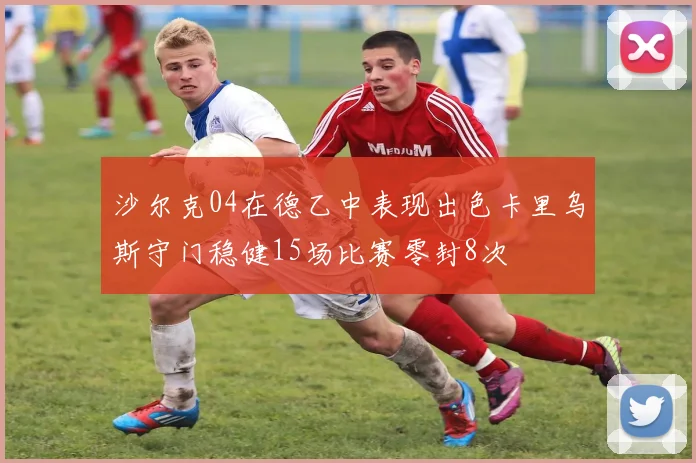 沙尔克04在德乙中表现出色卡里乌斯守门稳健15场比赛零封8次