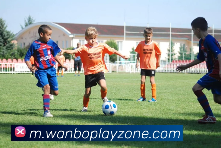 多媒体互动体验